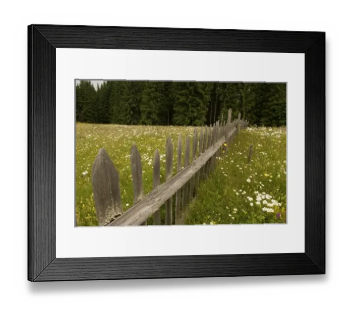 Framed Print : Europe, Romania Framed Print : Europe, Romania