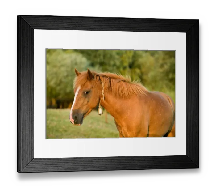 Framed Print : Europe, Romania Framed Print : Europe, Romania