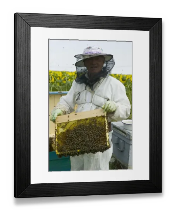 Framed Print : Europe, Romania Framed Print : Europe, Romania