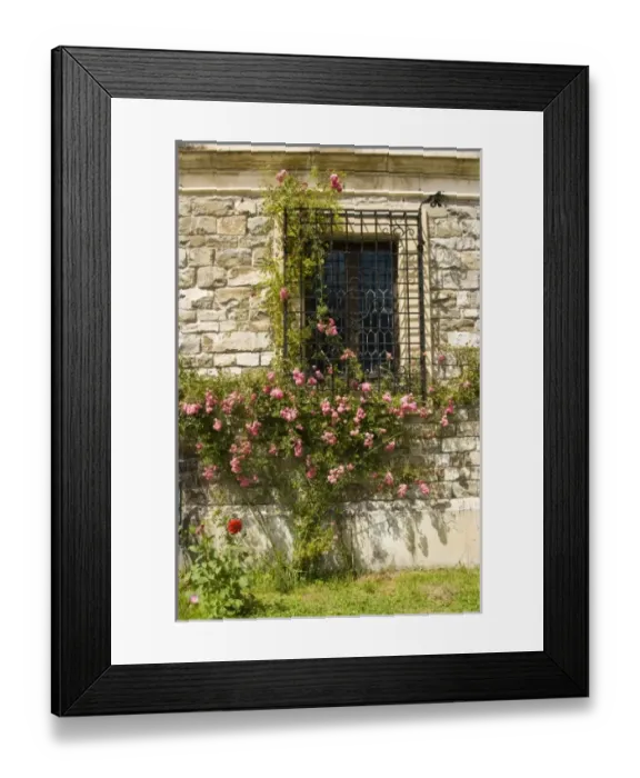 Framed Print : Europe, Romania Framed Print : Europe, Romania