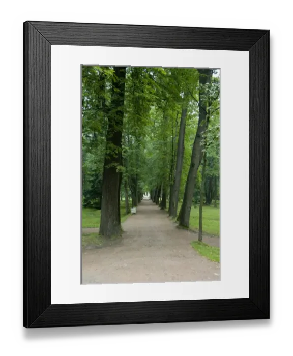 Framed Print : Europe, Russia Framed Print : Europe, Russia