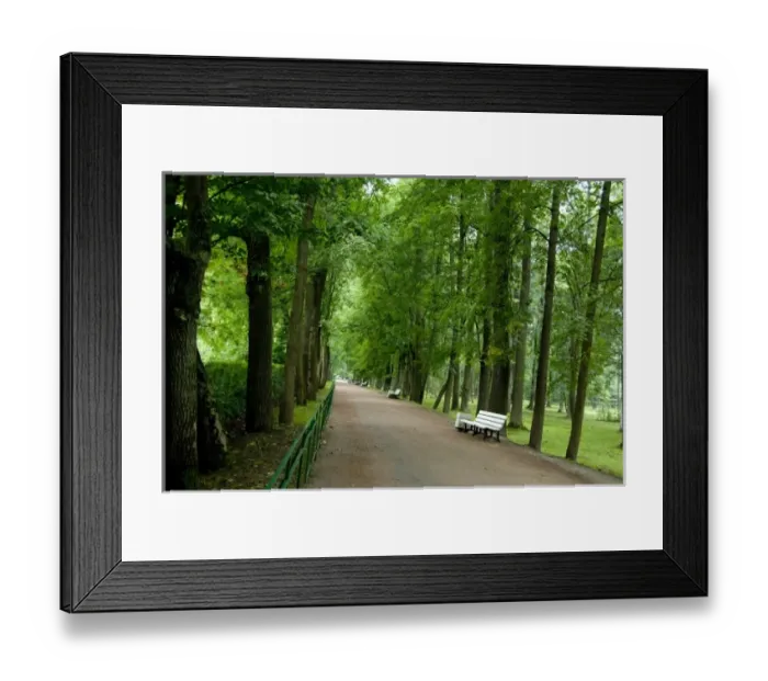 Framed Print : Russia, St. Petersburg, Peterhof Palace (aka Petrodvorets), gardens Framed Print : Russia, St. Petersburg, Peterhof Palace (aka Petrodvorets), gardens