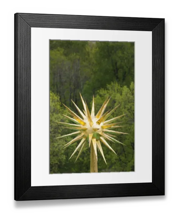 Framed Print : Europe, Russia Framed Print : Europe, Russia