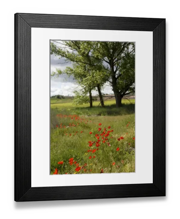 Framed Print : Europe, Spain