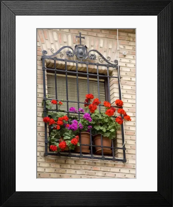 Framed Print : Europe, Spain
