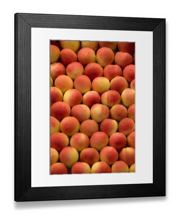 Framed Print : Spain, Catalonia, Barcelona. La Rambla, Popular covered fresh food market, (aka Mercat Framed Print : Spain, Catalonia, Barcelona. La Rambla, Popular covered fresh food market, (aka Mercat
