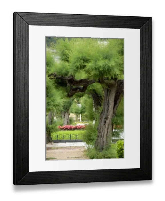 Framed Print : Europe, Spain