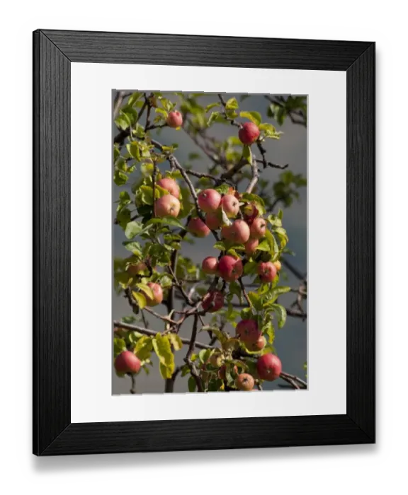 Framed Print : Europe, Spain Framed Print : Europe, Spain