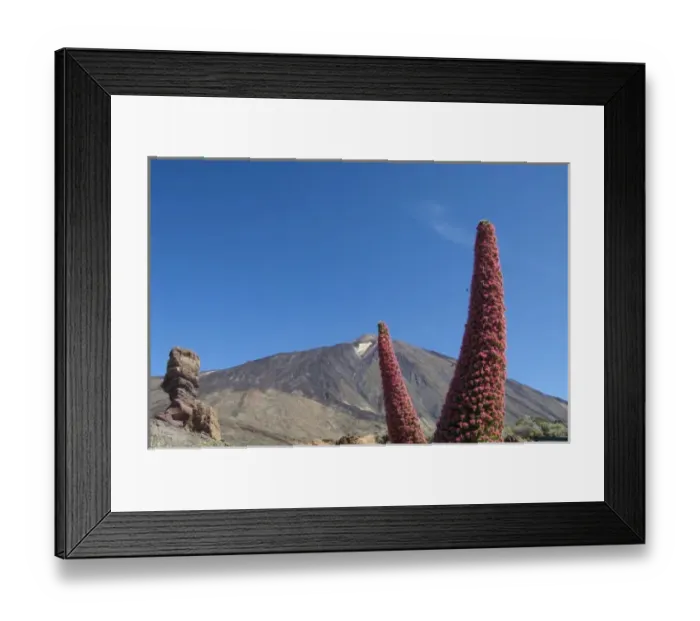 Framed Print : Spain, Canary Islands, Tenerife. Las Canadas National Park. Mt. Teide, 12, 300 ft. volcano