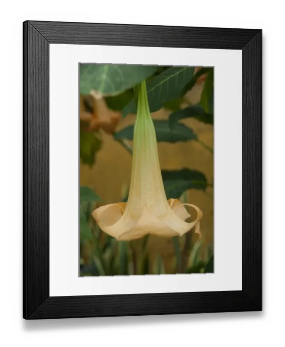 Framed Print : Europe, Spain Framed Print : Europe, Spain