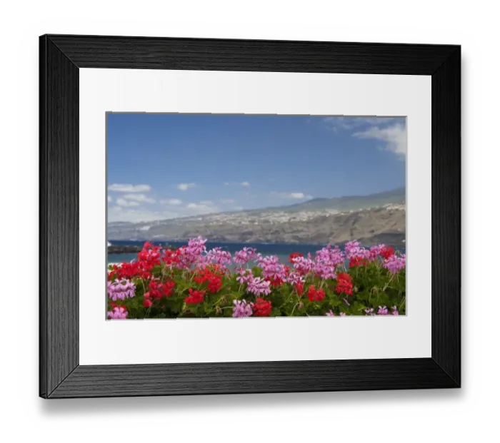 Framed Print : Spain, Canary Islands, Tenerife. City of Puerto De La Cruz. Coastal views from paseo de San Telmo
