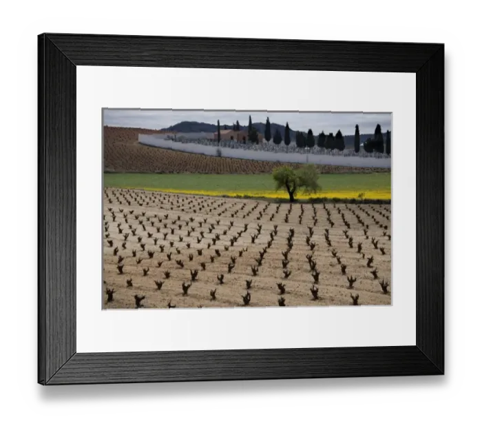 Framed Print : Europe, Spain
