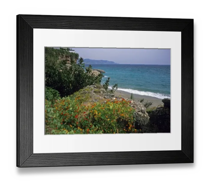 Framed Print : Nasturtiums grow along Costa del Sol in Spain Framed Print : Nasturtiums grow along Costa del Sol in Spain