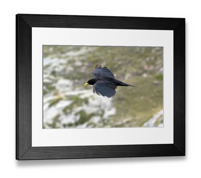 Framed Print : Europe, Spain Framed Print : Europe, Spain