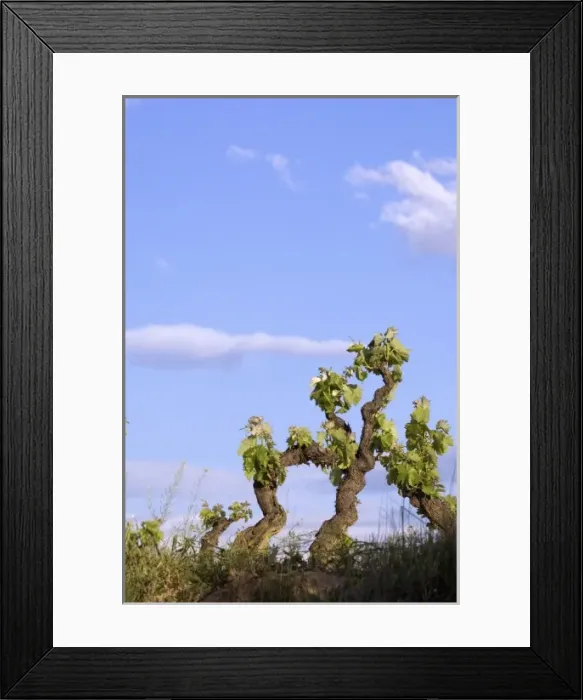 Framed Print : Europe, Spain Framed Print : Europe, Spain