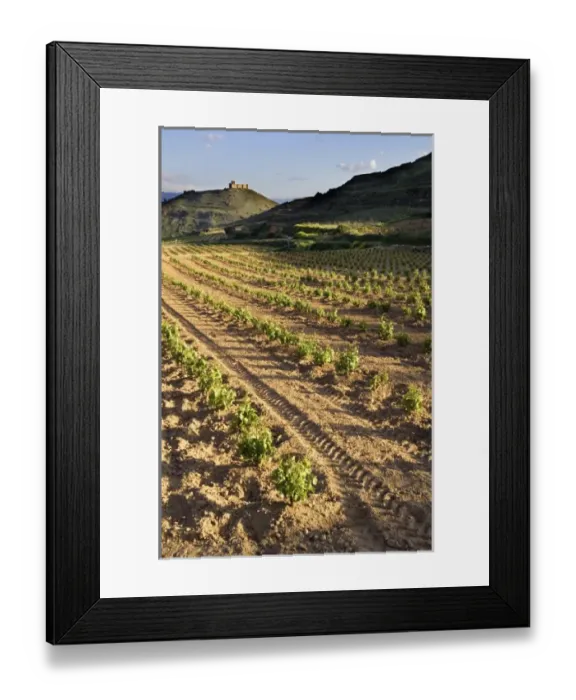 Framed Print : Europe, Spain Framed Print : Europe, Spain