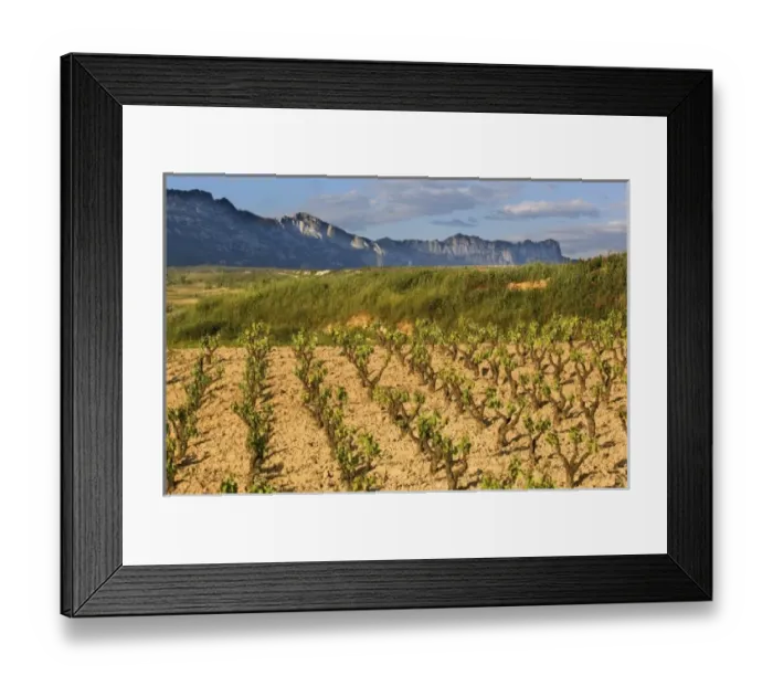 Framed Print : Europe, Spain