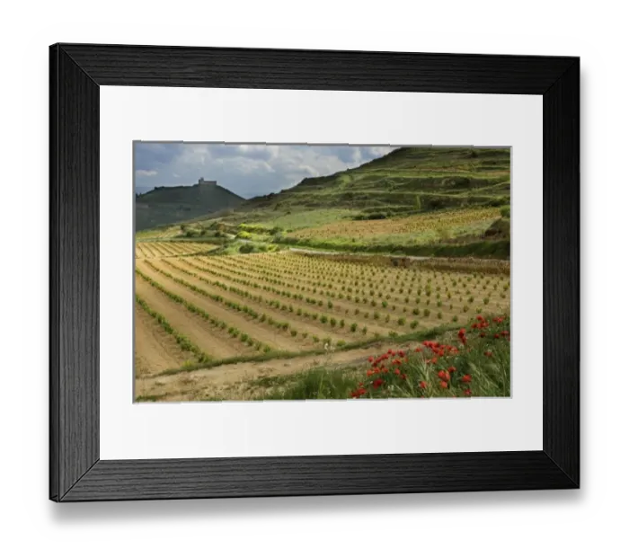 Framed Print : Europe, Spain Framed Print : Europe, Spain