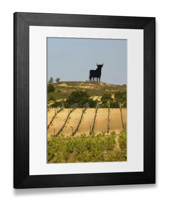 Framed Print : Europe, Spain