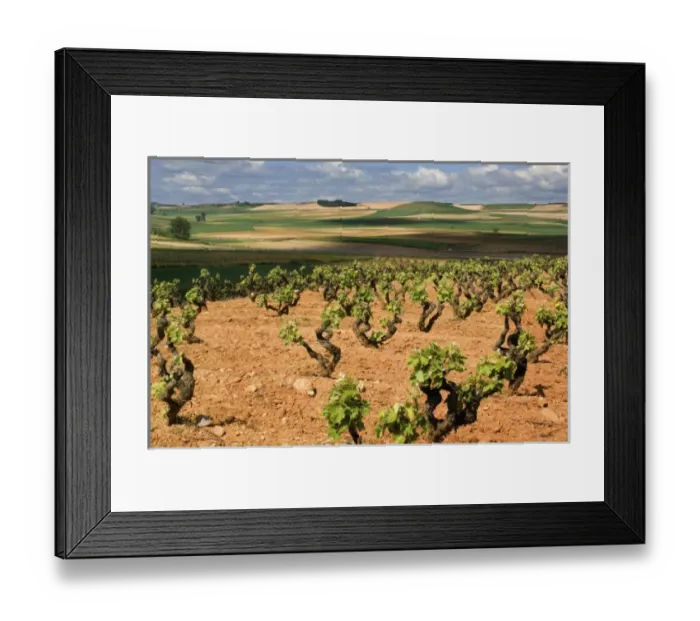 Framed Print : Europe, Spain
