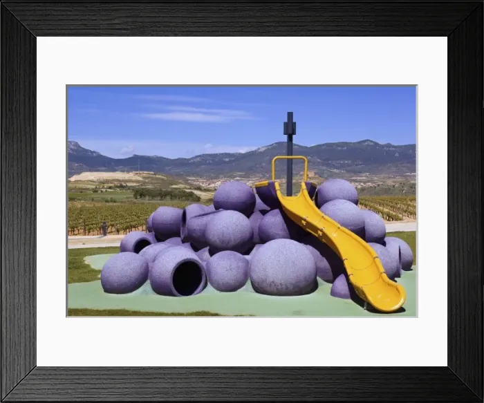 Framed Print : Childrens play structure made to look like purple grapes at the Museo de la Cultura del Vino Framed Print : Childrens play structure made to look like purple grapes at the Museo de la Cultura del Vino