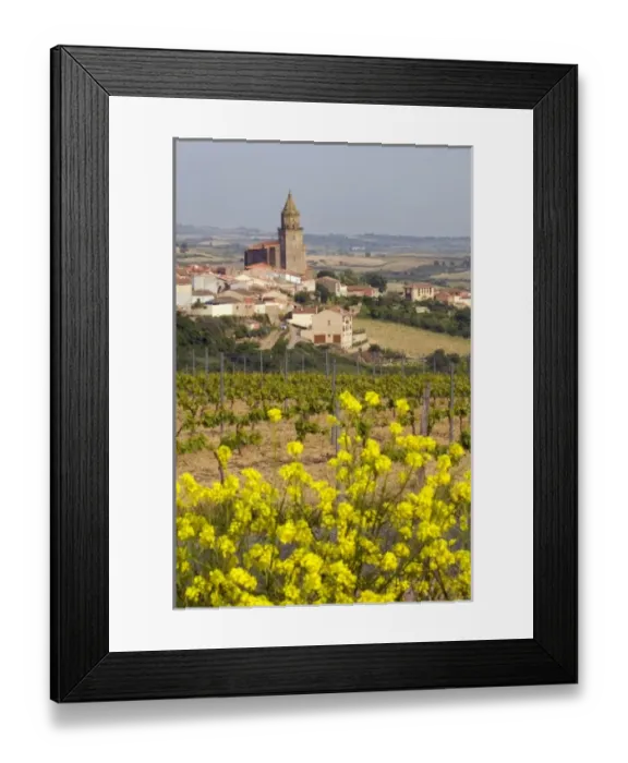 Framed Print : Europe, Spain