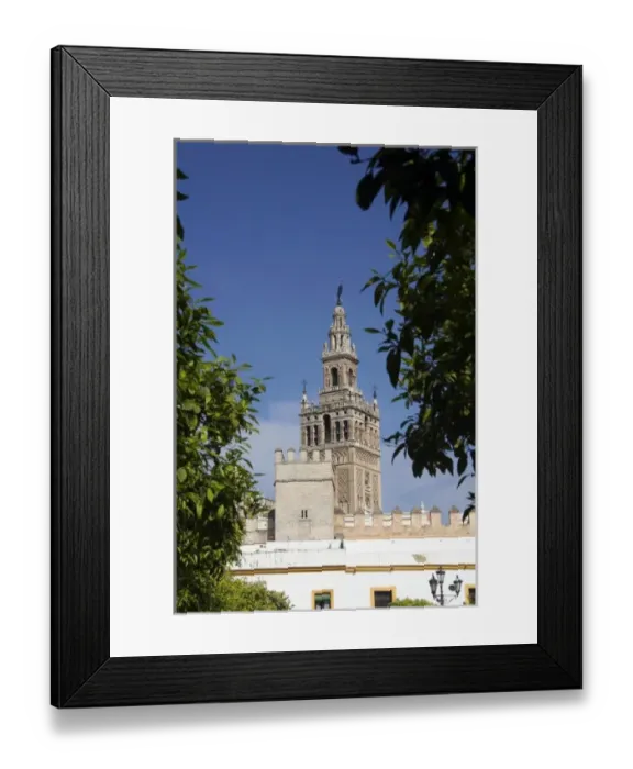 Framed Print : Spain, Seville. The Cathedral of Seville, Cathedral de Sevilla. View of the Cathedral