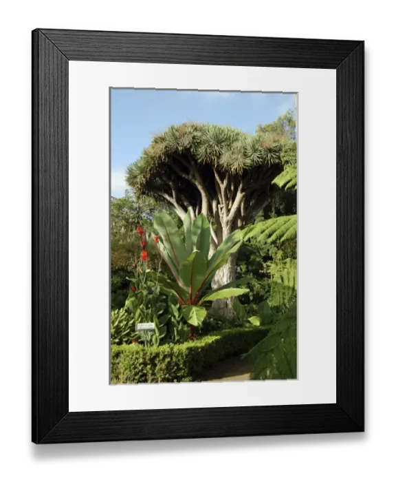 Framed Print : Europe, Spain Framed Print : Europe, Spain