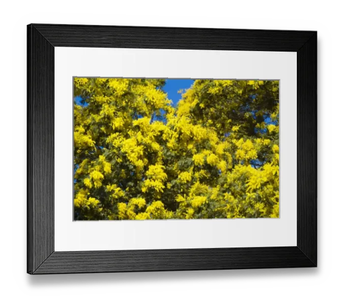 Framed Print : Europe, Spain Framed Print : Europe, Spain