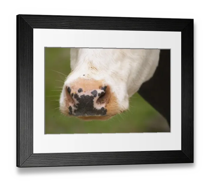 Framed Print : Europe, Sweden Framed Print : Europe, Sweden