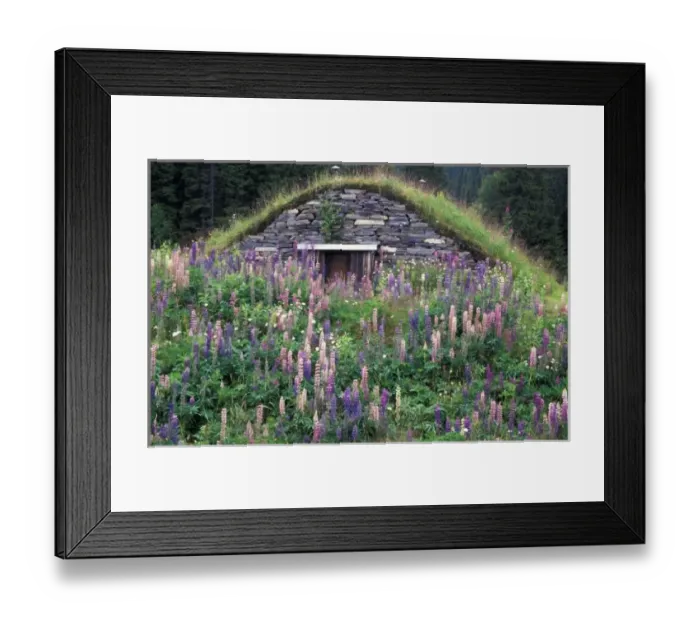 Framed Print : Sweden, Lappland. Root Cellar