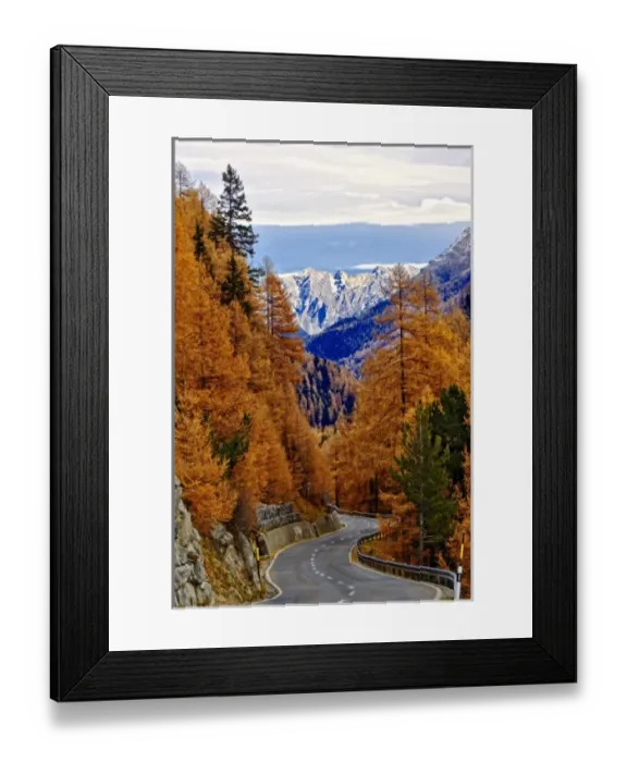 Framed Print : Winding road and Larch (Larix europaea) trees in autumn, Swiss Alps Framed Print : Winding road and Larch (Larix europaea) trees in autumn, Swiss Alps