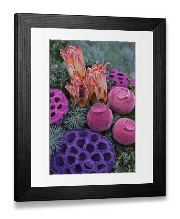 Framed Print : Dried flower arrangement decorating grave site, Appenzeller, Switzerland Framed Print : Dried flower arrangement decorating grave site, Appenzeller, Switzerland
