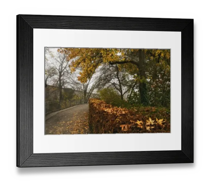 Framed Print : Autumn leaves and walkway from Munot Castle, Schaffhausen, Switzerland Framed Print : Autumn leaves and walkway from Munot Castle, Schaffhausen, Switzerland