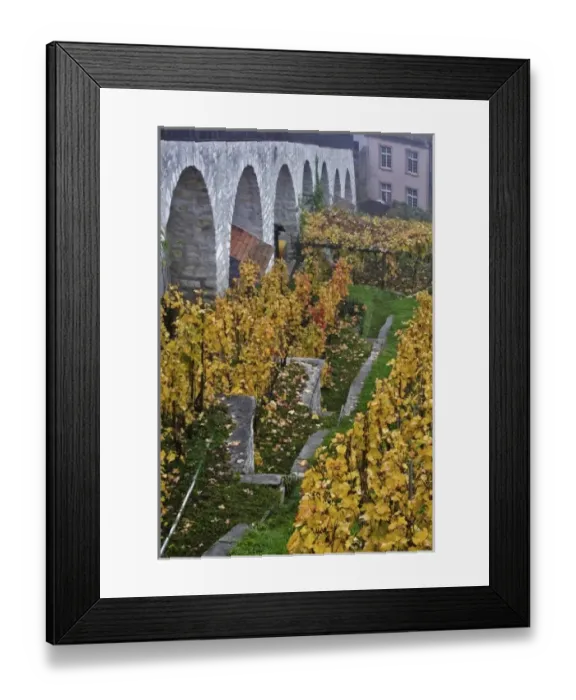 Framed Print : Europe, Switzerland Framed Print : Europe, Switzerland