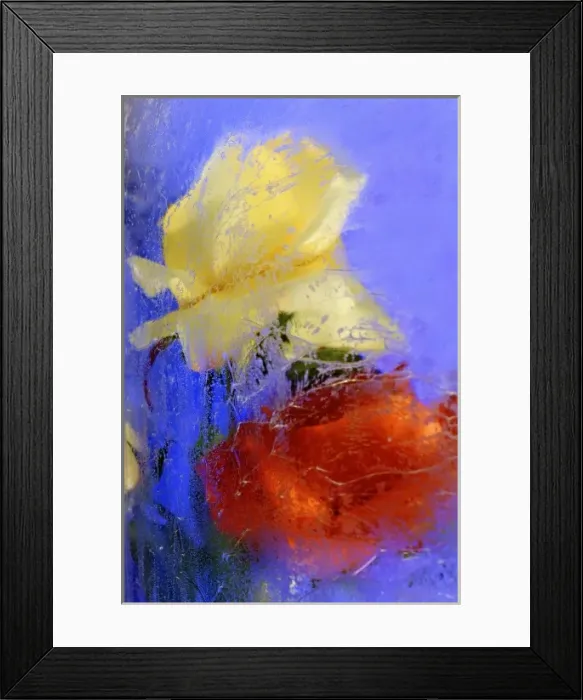 Framed Print : Yellow and red roses frozen in block of ice, Glacier Palace, Klein Matterhorn, Zermatt Framed Print : Yellow and red roses frozen in block of ice, Glacier Palace, Klein Matterhorn, Zermatt