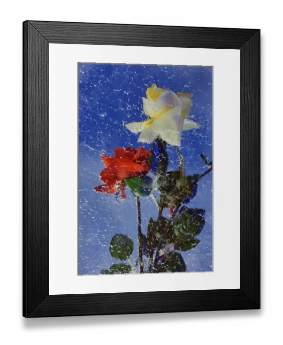 Framed Print : Red and yellow roses frozen in block of ice, Glacier Palace, near Zermatt, Switzerland Framed Print : Red and yellow roses frozen in block of ice, Glacier Palace, near Zermatt, Switzerland