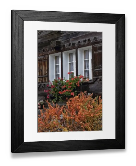 Framed Print : Flowerbox in cabin windows, Zermatt, Switzerland Framed Print : Flowerbox in cabin windows, Zermatt, Switzerland
