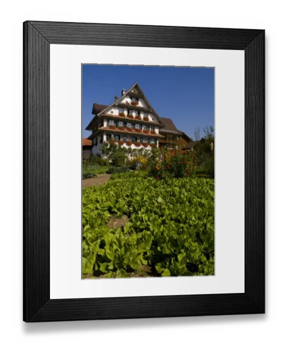 Framed Print : Beautiful Swiss chalets with flowers near Interlaken, Switzerland