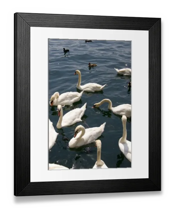 Framed Print : Europe, Switzerland