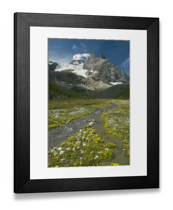 Framed Print : Alpine Meadow, Obersteinberg area, below Tschingelhorn, Upper Lauterbrunnen Valley