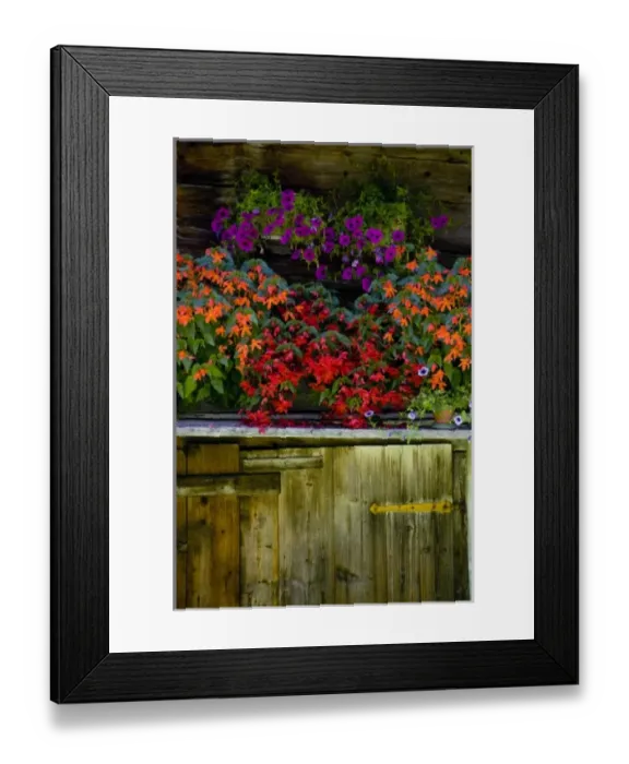 Framed Print : Flowers in mountain hut, Bernese Oberland, Alps, Switzerland Framed Print : Flowers in mountain hut, Bernese Oberland, Alps, Switzerland