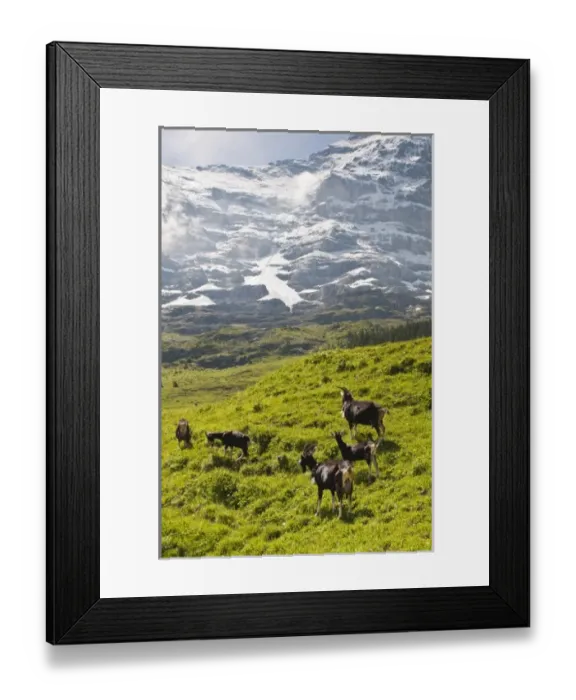 Framed Print : Europe, Switzerland Framed Print : Europe, Switzerland