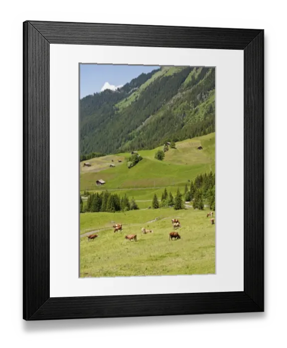 Framed Print : Europe, Switzerland Framed Print : Europe, Switzerland