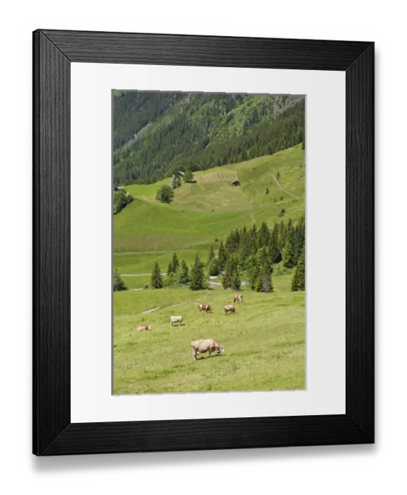 Framed Print : Europe, Switzerland Framed Print : Europe, Switzerland