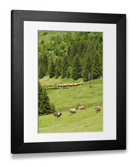 Framed Print : Europe, Switzerland Framed Print : Europe, Switzerland