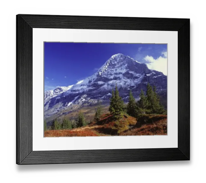 Framed Print : Europe, Switzerland, Eiger. Fall colors abound below the Eiger, a World Heritage Site Framed Print : Europe, Switzerland, Eiger. Fall colors abound below the Eiger, a World Heritage Site