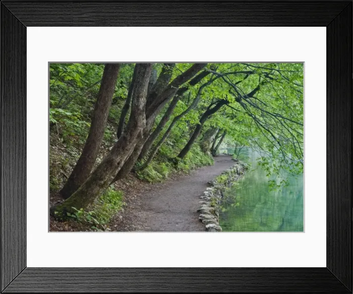 Framed Print : Footpath along Milanovac Jezero (Lake), Plitvice National Park, Croatia