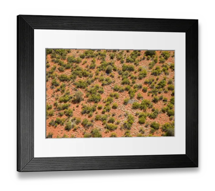 Framed Print : Australia. Desert Bushes and Red Sand, Uluru - Kata Tjuta National Park Framed Print : Australia. Desert Bushes and Red Sand, Uluru - Kata Tjuta National Park