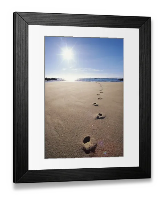 Framed Print : Foot Prints in Sand, Abel Tasman National Park Framed Print : Foot Prints in Sand, Abel Tasman National Park